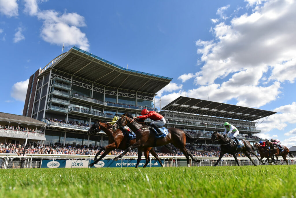 Image name York Racecourse the 2 image from the post Newsletter - Friday 28th July 2023 in Yorkshire.com.