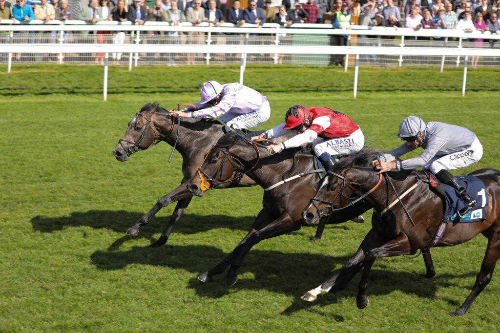 Image name York Racecourse 2 the 24 image from the post A Fresher's Guide to Yorkshire in Yorkshire.com.