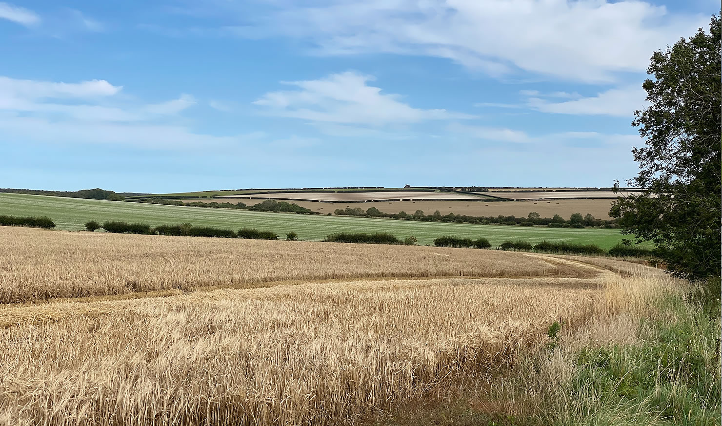 Image name Yorkshire Wolds farmland along the walk the 28 image from the post Market Weighton to Londesborough – a circular walk in the Yorkshire Wolds in Yorkshire.com.