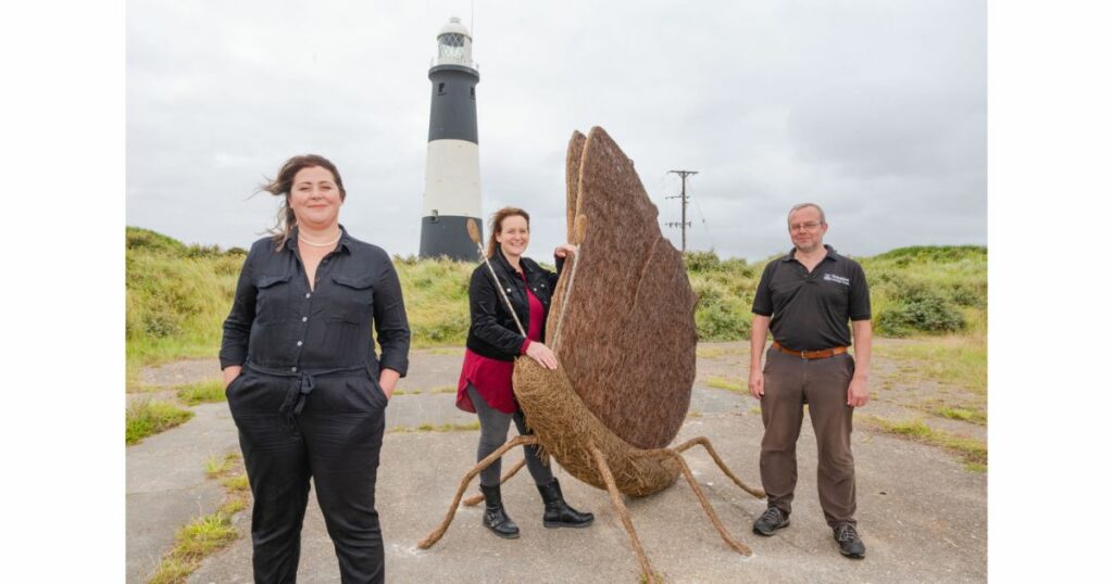 Yorkshire Autumn Arts Events 2021 Post image 6 Image name Yorkshire Coast Bid Butterfly 09 1 the 6 image from the post Yorkshire Autumn Arts Events 2021 in Yorkshire.com.