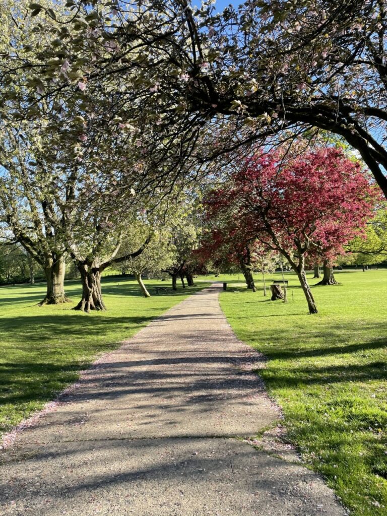 Aireville Park, Skipton – not just a park Post image 2 Image name aireville park the 2 image from the post Aireville Park, Skipton – not just a park in Yorkshire.com.