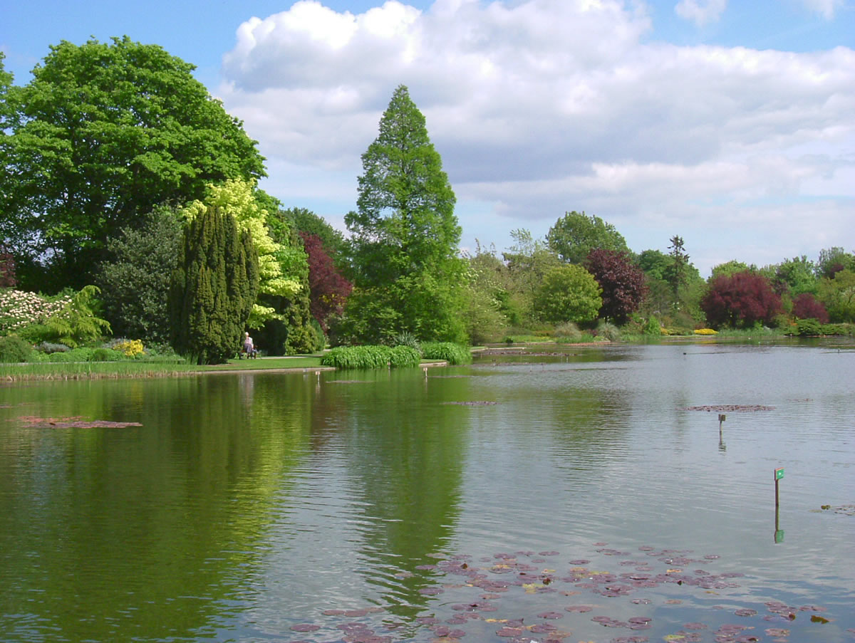 Image name burnby hall gardens pocklington the 35 image from the post Pocklington in Yorkshire.com.