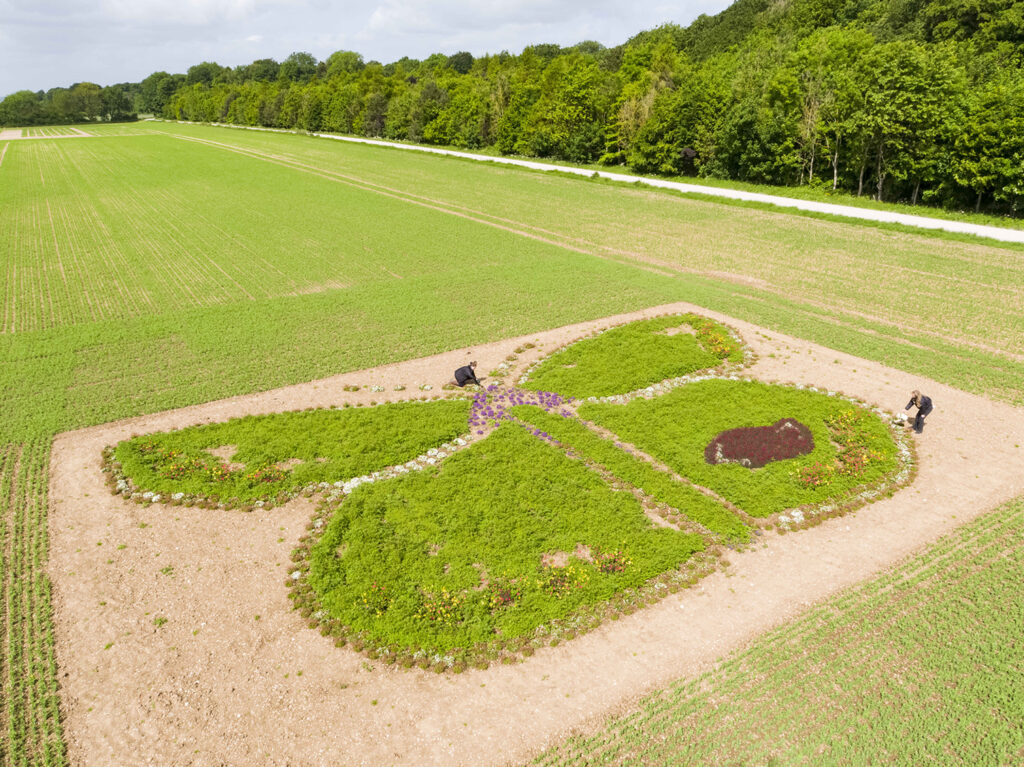 Competition: Seed box giveaway in partnership with Birds Eye Peas Post image 2 Image name butterfly shaped wildflower patch east yorkshire pea farm the 2 image from the post Competition: Seed box giveaway in partnership with Birds Eye Peas in Yorkshire.com.