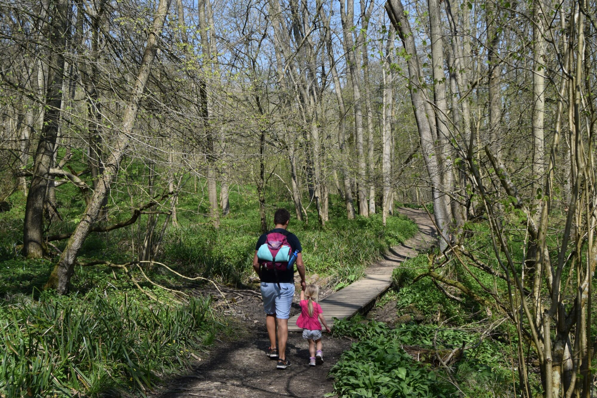 Family Walk at Hackfall Wood, Masham Post image 2 Image name hackfall wood path scaled the 2 image from the post Family Walk at Hackfall Wood, Masham in Yorkshire.com.