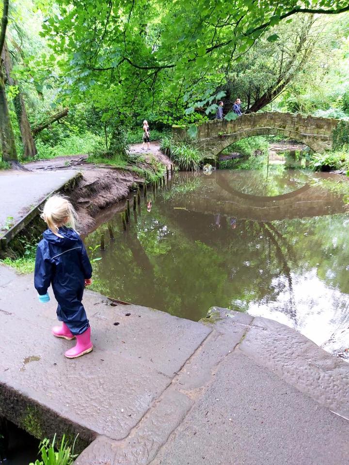 Image name hollies 1 the 2 image from the post Family adventures at Meanwood Park in Yorkshire.com.