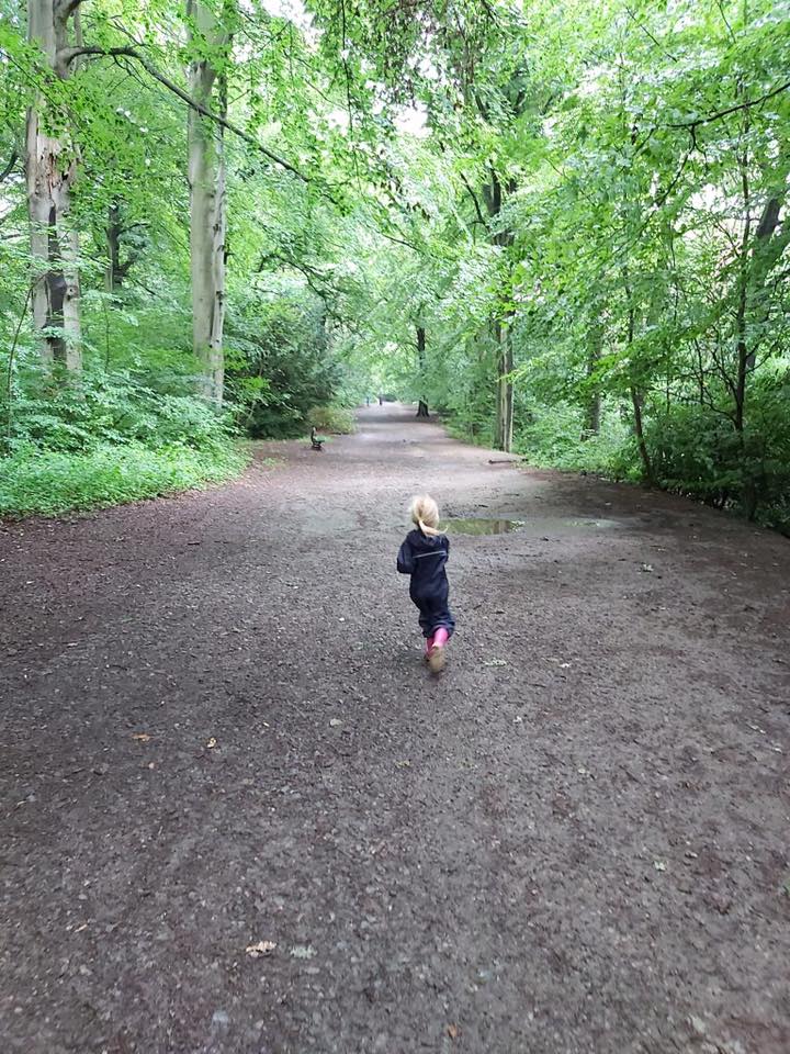 Image name hollies track the 3 image from the post Family adventures at Meanwood Park in Yorkshire.com.