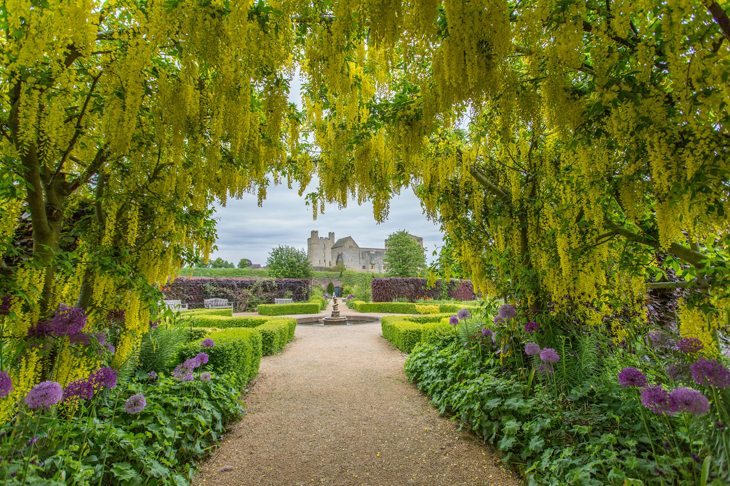 Image name laburnum arch and castle the 8 image from the post Step Back in Time: The Heritage of North York Moors National Park in Yorkshire.com.