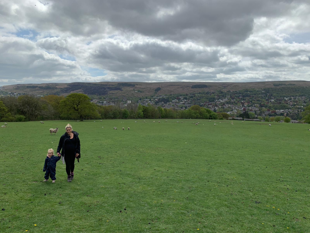 The Bluebells of Ilkley's Middleton Woods Post image 2 Image name middleton wood walk the 2 image from the post The Bluebells of Ilkley's Middleton Woods in Yorkshire.com.