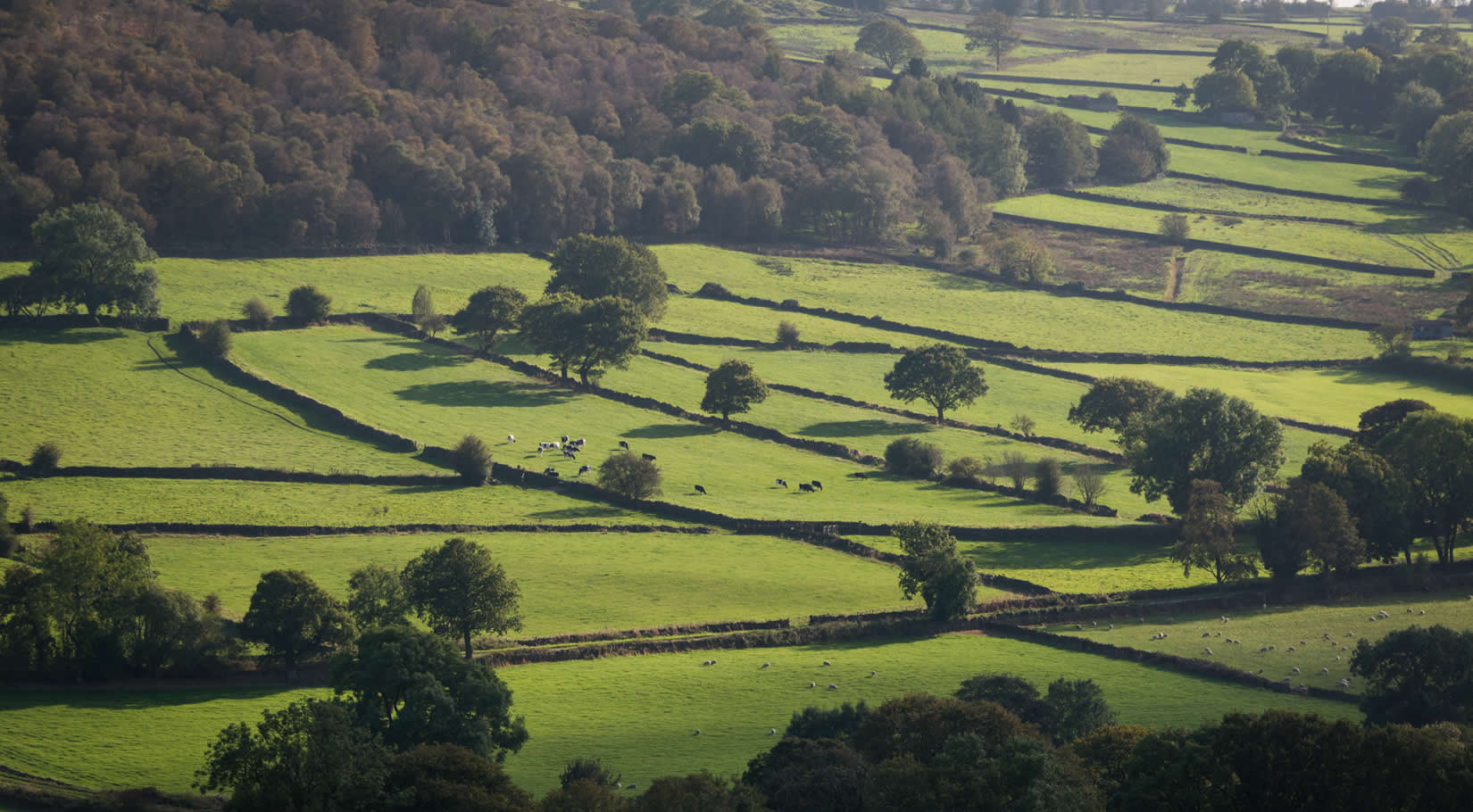 Image name nidderdale the 8 image from the post Nidderdale Essentials in Yorkshire.com.