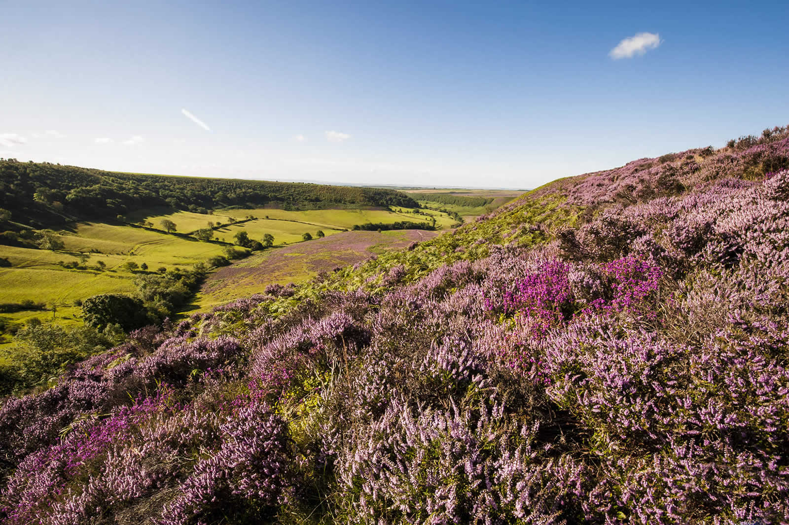 Image name north york moors the 14 image from the post North York Moors in Yorkshire.com.