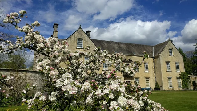Amazing National Trust Properties in Yorkshire: Where History Meets Natural Beauty Page image 2 Image name nunnington hall blossom copyright national trust nick fraser the 2 image from the post Amazing National Trust Properties in Yorkshire: Where History Meets Natural Beauty in Yorkshire.com.