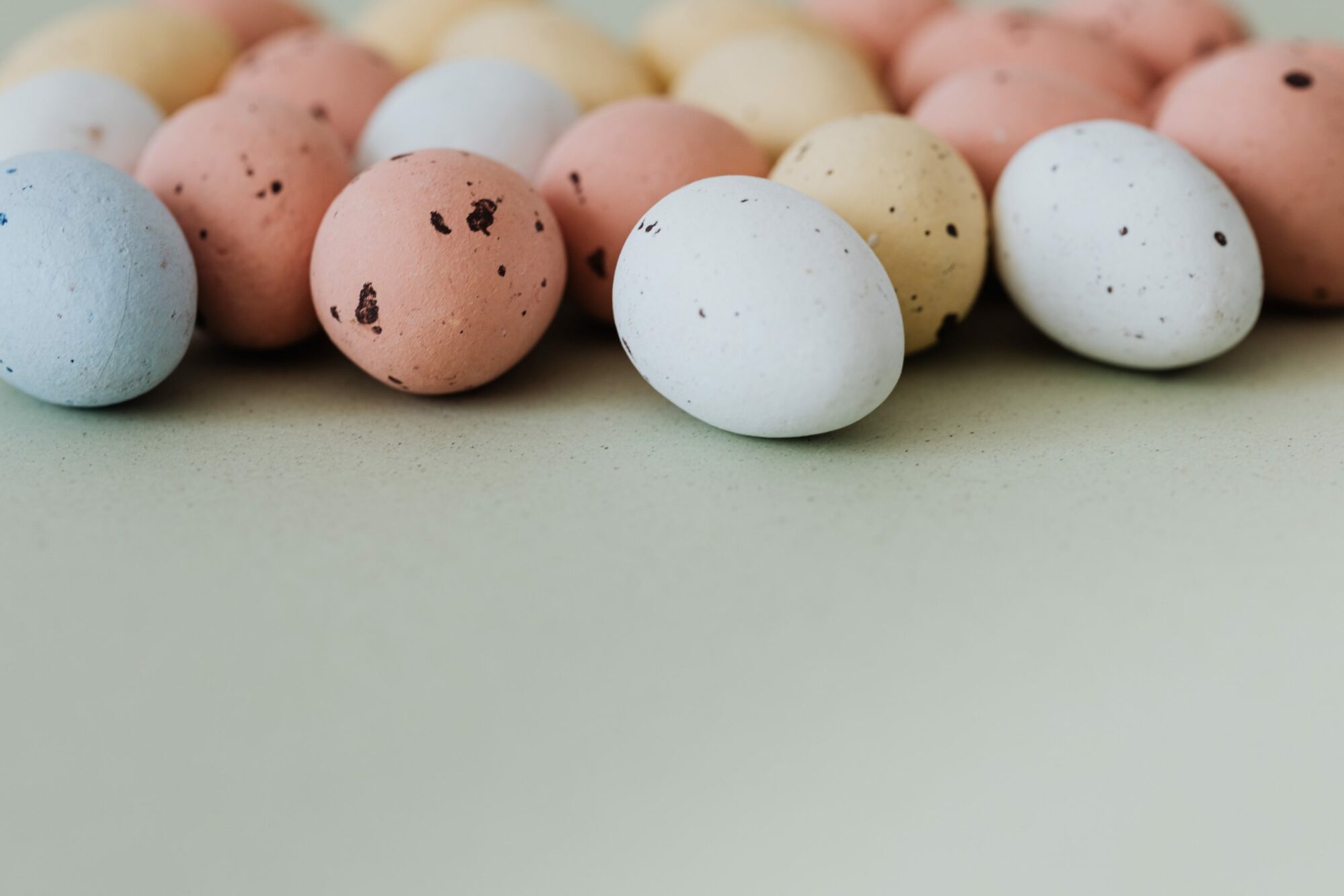 Image name pexels karolina grabowska 4041127 scaled 1 the 6 image from the post Easter Explores 2022 in Yorkshire.com.