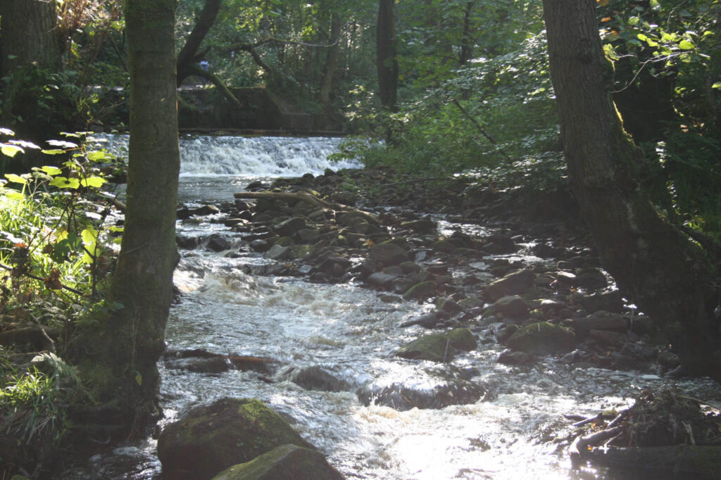 Rambling the Rivelin Post image 1 Image name rivelin 4 the 1 image from the post Rambling the Rivelin in Yorkshire.com.