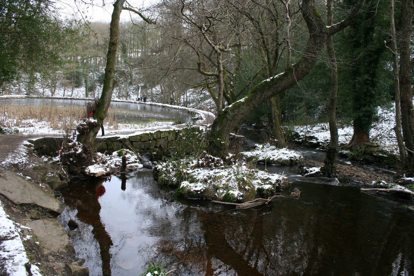 Image name rivelin 6 2 the 9 image from the post Rambling the Rivelin in Yorkshire.com.