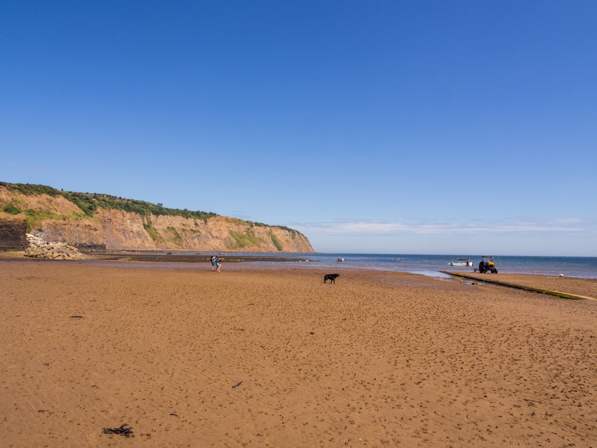 Image name robin hoods bay dog walk the 27 image from the post Keeping cool at the coast with your dog in Yorkshire.com.