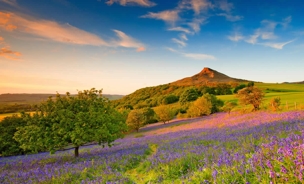 Image name roseberry topping the 7 image from the post Walk - Roseberry Topping & Captain Cook's Monument in Yorkshire.com.