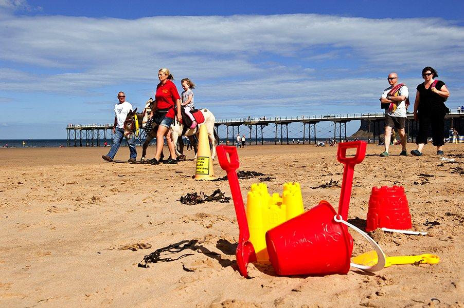 Saltburn Page image 10 Image name saltburn donkeys 2 the 3 image from the post Saltburn in Yorkshire.com.