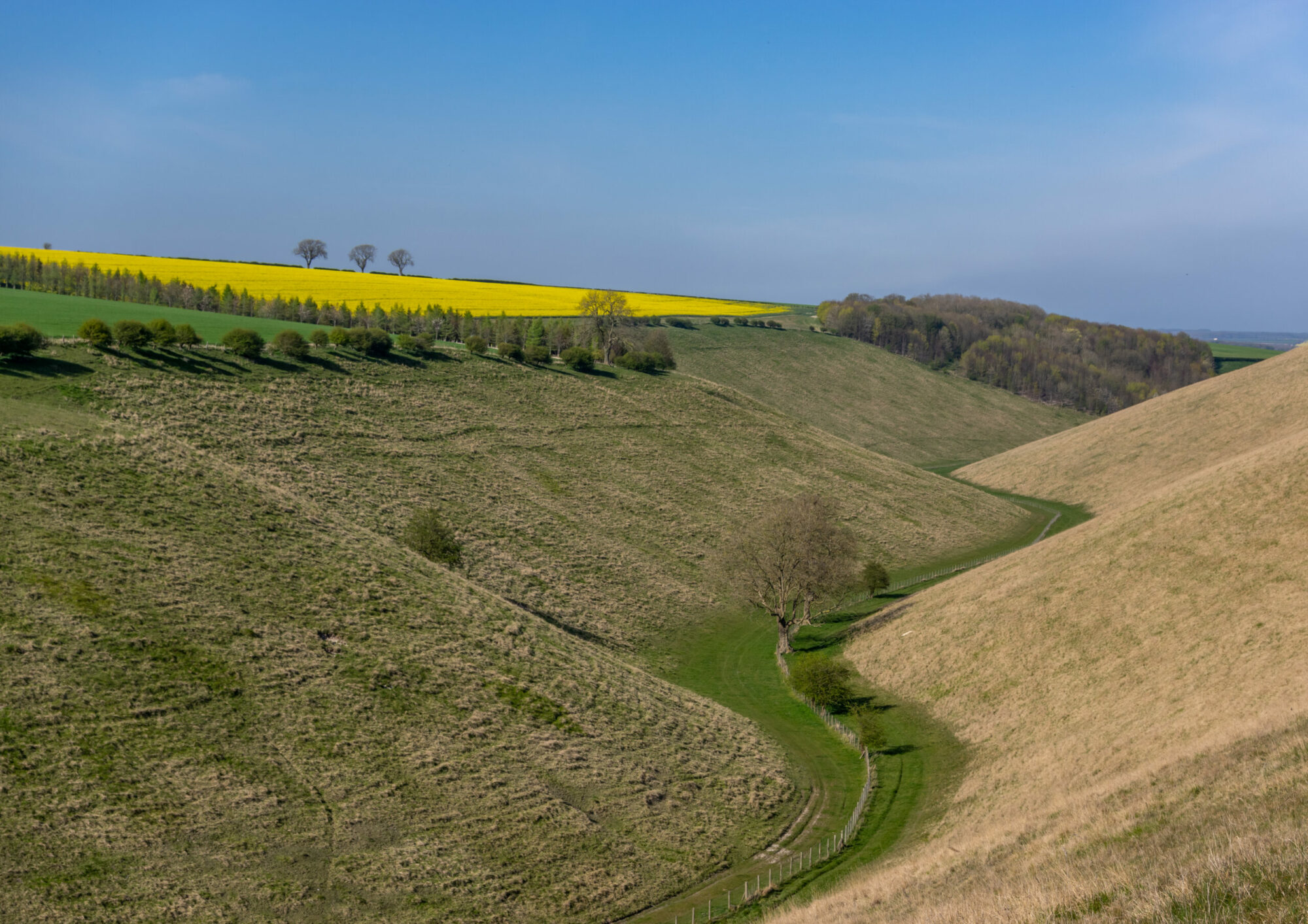 7 Walks in the East Riding of Yorkshire Post image 1 Image name shutterstock 1686914281 scaled the 1 image from the post 7 Walks in the East Riding of Yorkshire in Yorkshire.com.