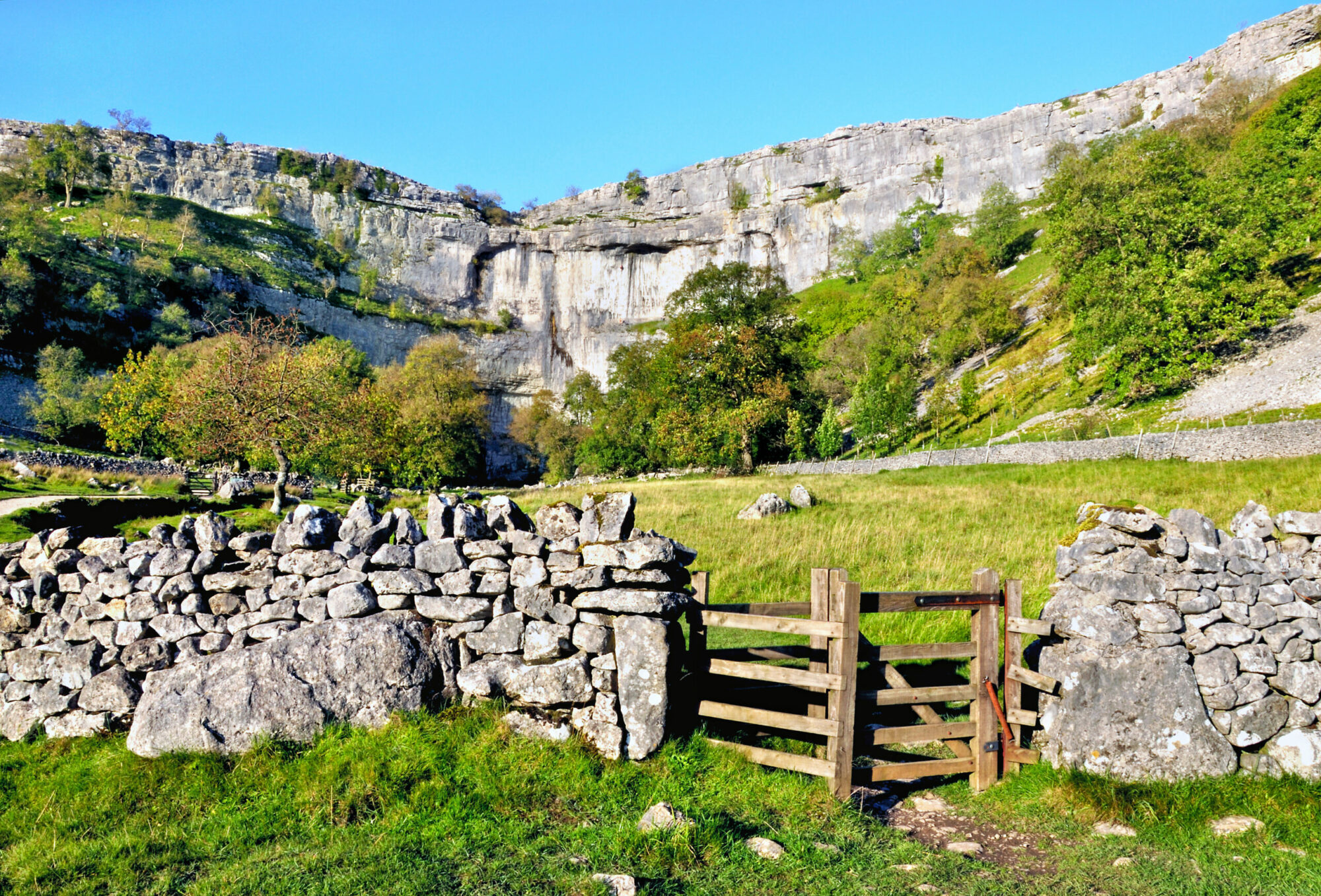 10 dog-friendly Yorkshire walks for foodies Post image 3 Image name shutterstock 197768831 scaled the 3 image from the post 10 dog-friendly Yorkshire walks for foodies in Yorkshire.com.