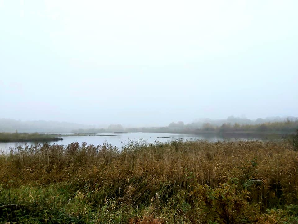 Image name st aidans in mist the 11 image from the post A family walk around RSPB St Aidan's in Yorkshire.com.