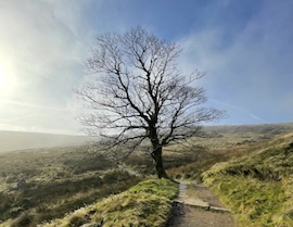 International Women's Day: Walk in the Brontë's Footsteps Post image 1 Image name walkshire the 1 image from the post International Women's Day: Walk in the Brontë's Footsteps in Yorkshire.com.