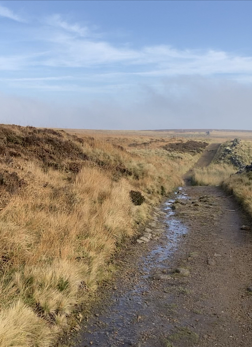 International Women's Day: Walk in the Brontë's Footsteps Post image 2 Image name walksire2 the 2 image from the post International Women's Day: Walk in the Brontë's Footsteps in Yorkshire.com.
