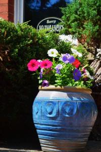 Heathfield Bed and Breakfast Accommodation image 2 Heathfield Bed and Breakfast image two