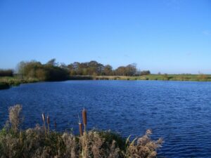 Bed & Breakfast Accommodation In Hull Page image 30 Picture of Barmston Farm