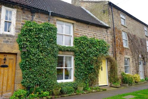 Jasmine Cottage Accommodation image 3 Jasmine Cottage image three