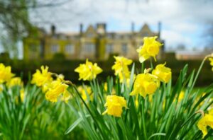 Picture of Gisborough Hall Hotel