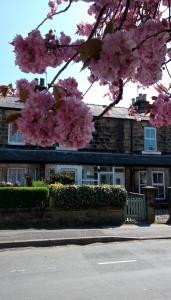 Harrogate 100 Accommodation image 1 Harrogate 100 image one
