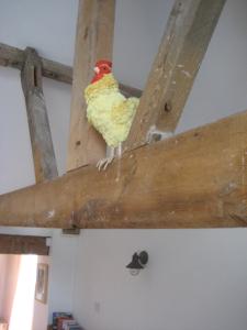 The Old Dairy, Heritage Escapes, Field House Farm Accommodation image 2 The Old Dairy, Heritage Escapes, Field House Farm image two