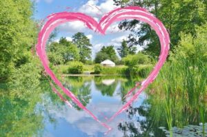 Picture of Acorn Glade Glamping