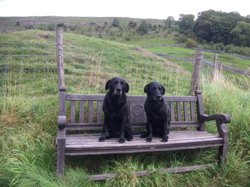 Fox and hounds starbotton Accommodation image 5 Fox and hounds starbotton image three