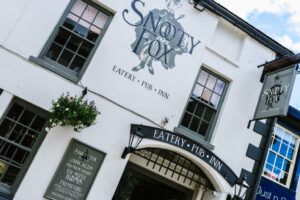 Picture of Snooty Fox