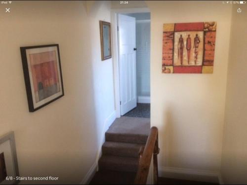 Cricket View cottage Accommodation image 3 Cricket View cottage image three