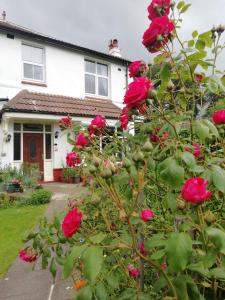 B&B Accommodation in & Near Sandsend Page image 15 Picture of Beechlands B & B