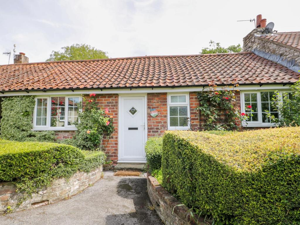 Lupin Cottage Accommodation image 1 Lupin Cottage image one