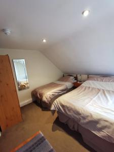 Ashburnam Guest House Accommodation image 2 Ashburnam Guest House image two