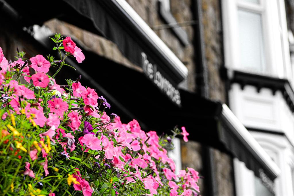 The Lawrance Luxury Aparthotel - Harrogate Accommodation image 1 The Lawrance Luxury Aparthotel - Harrogate image one