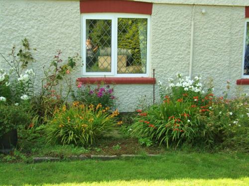 firtrees Accommodation image 3 firtrees image three