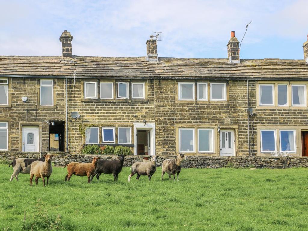 17 Moorside Accommodation image 1 17 Moorside image one