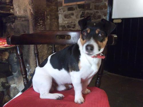 The George Inn Accommodation image 3 Image name 241527631 the 1 image from the post The George Inn in Yorkshire.com.