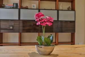 Refurbished Central Premium Property Accommodation image 2 Refurbished Central Premium Property image two