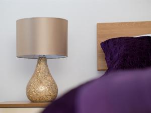 Luxurious Serviced Apartments image two