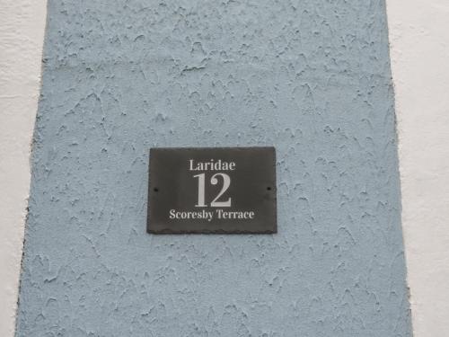 Laridae image three