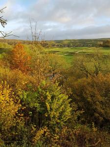 The Sett on The Wharfe image two