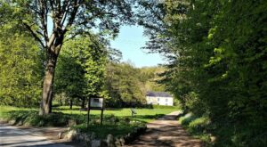 Picture of Lowther House