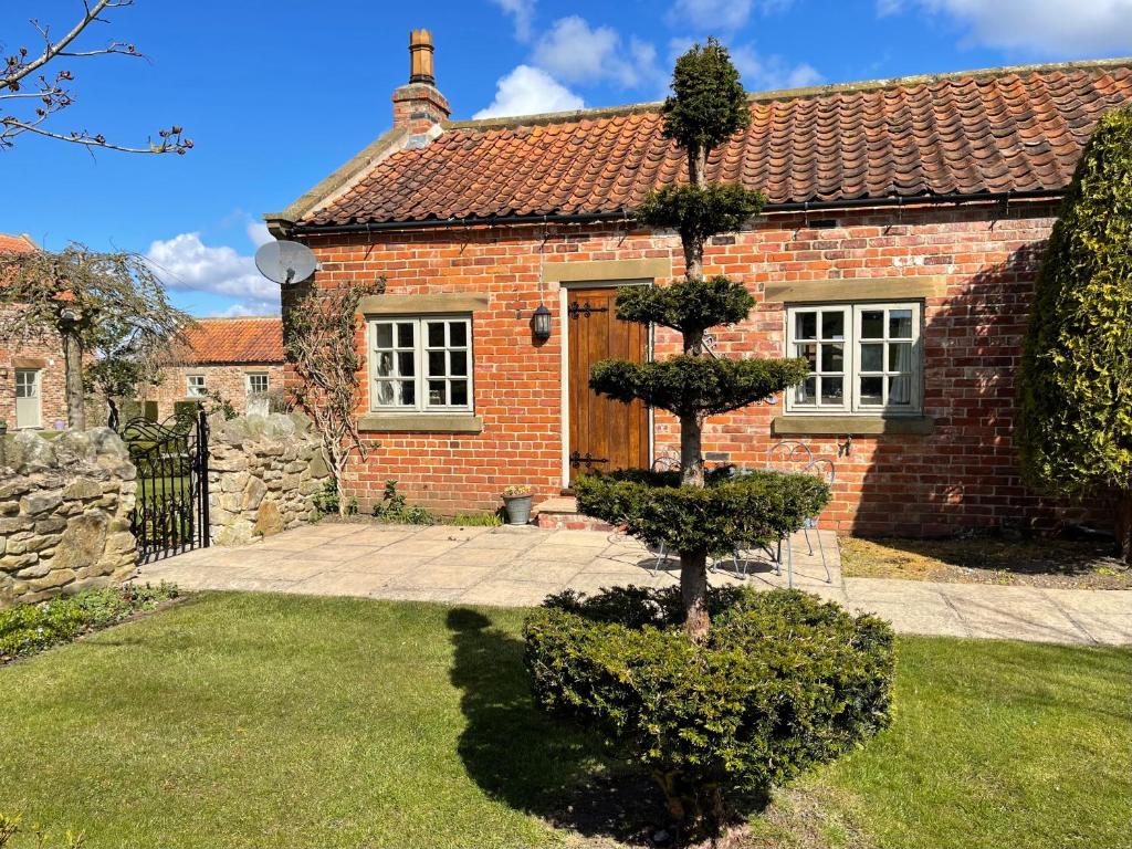 Elm Tree Cottage Accommodation image 1 Elm Tree Cottage image one