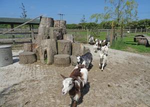 Barmston Farm image two